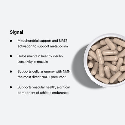 Signal. Mitochondrial support and SIRT3 activation to support metabolism. Helps maintain healthy insulin sensitivity in muscle. Supports cellular energy with NMN, the most direct NAD+ precursor. Supports vascular health, a critical component of athletic endurance